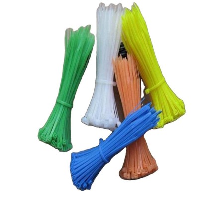 2020 Nylon66 Cable Tie In Cheap Price